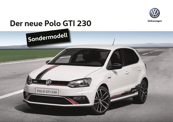 Small Brochure Volkswagen Polo 6C GTI 230.png