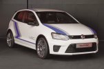 20120521 Polo WRC Street 02.jpg