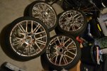 DSC_0116.jpg