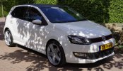 Photo polo BM FORUM.jpg