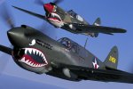 p40warhawk_zps78a9961d.jpg