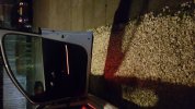 IMG-20170110-WA0012.jpeg