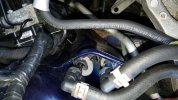 20170504_133132.jpg