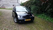 Polo 9N1 1.JPG