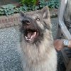 IMG-20180928-WA0000.jpg