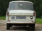 Daf 33 (6).JPG
