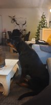 20191207_094311.jpg