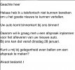 Wagen binnen.jpg