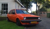 Oranje Polo te koop (2).jpg