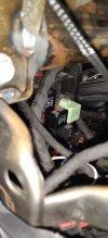 IMG_20210219_101852.jpg