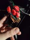 IMG_20211228_145744.jpg