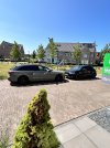 IMG_4689.jpeg