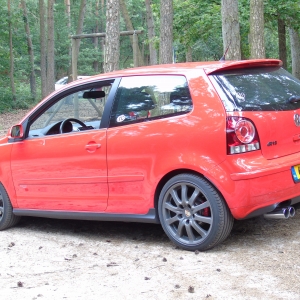 polo dui 001.jpg