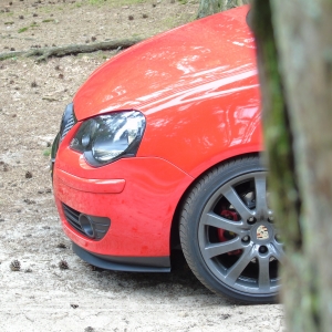 polo dui 002.jpg