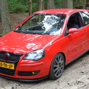 polo dui 004.jpg