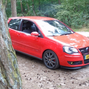 polo dui 006.jpg