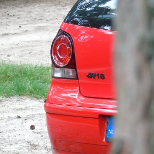polo dui 011.jpg
