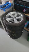 IMG-20231203-WA0005.jpg