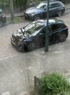 IMG_2803.jpeg