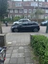 IMG_2616.jpeg