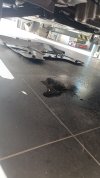 IMG-20250331-WA0007.jpeg