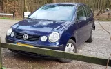 Apollo_in_a_Polo.webp