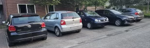 PoloParking.webp