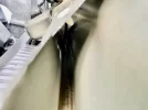 Polo_achterklep_water_1.webp