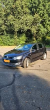 Polo 1.webp