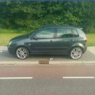 Pologeak