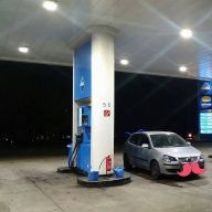 LadyPolo