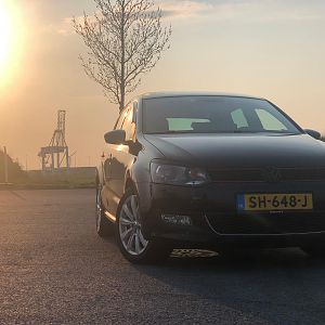 Unleashed polo