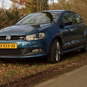 Polo Blue GT