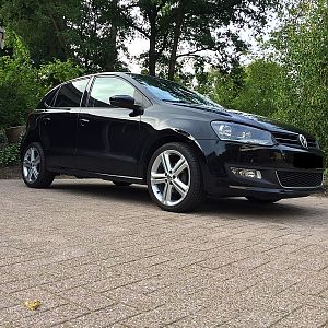 Polo1
