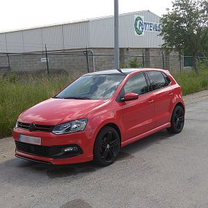 Polo1