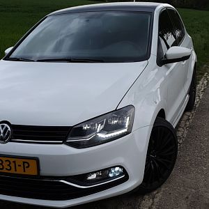 Polo 6c