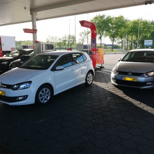 polo_LI.jpg