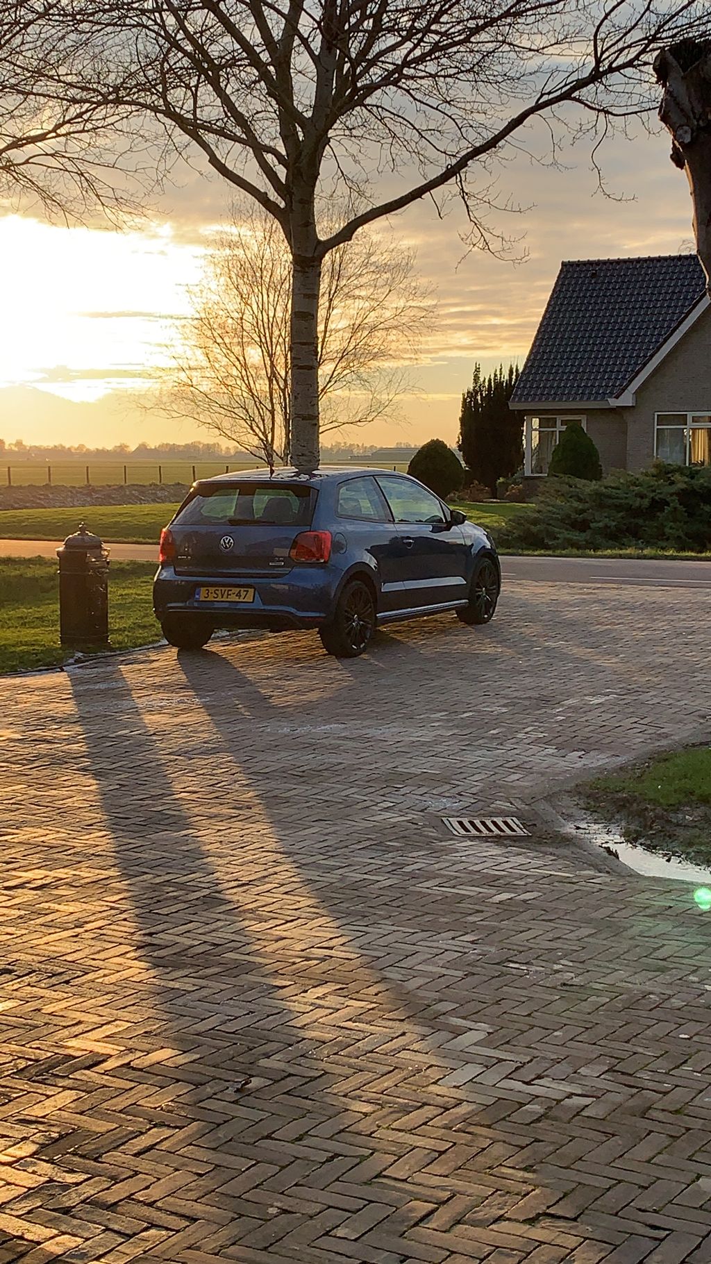 2019-03-Nielsbluegtwww