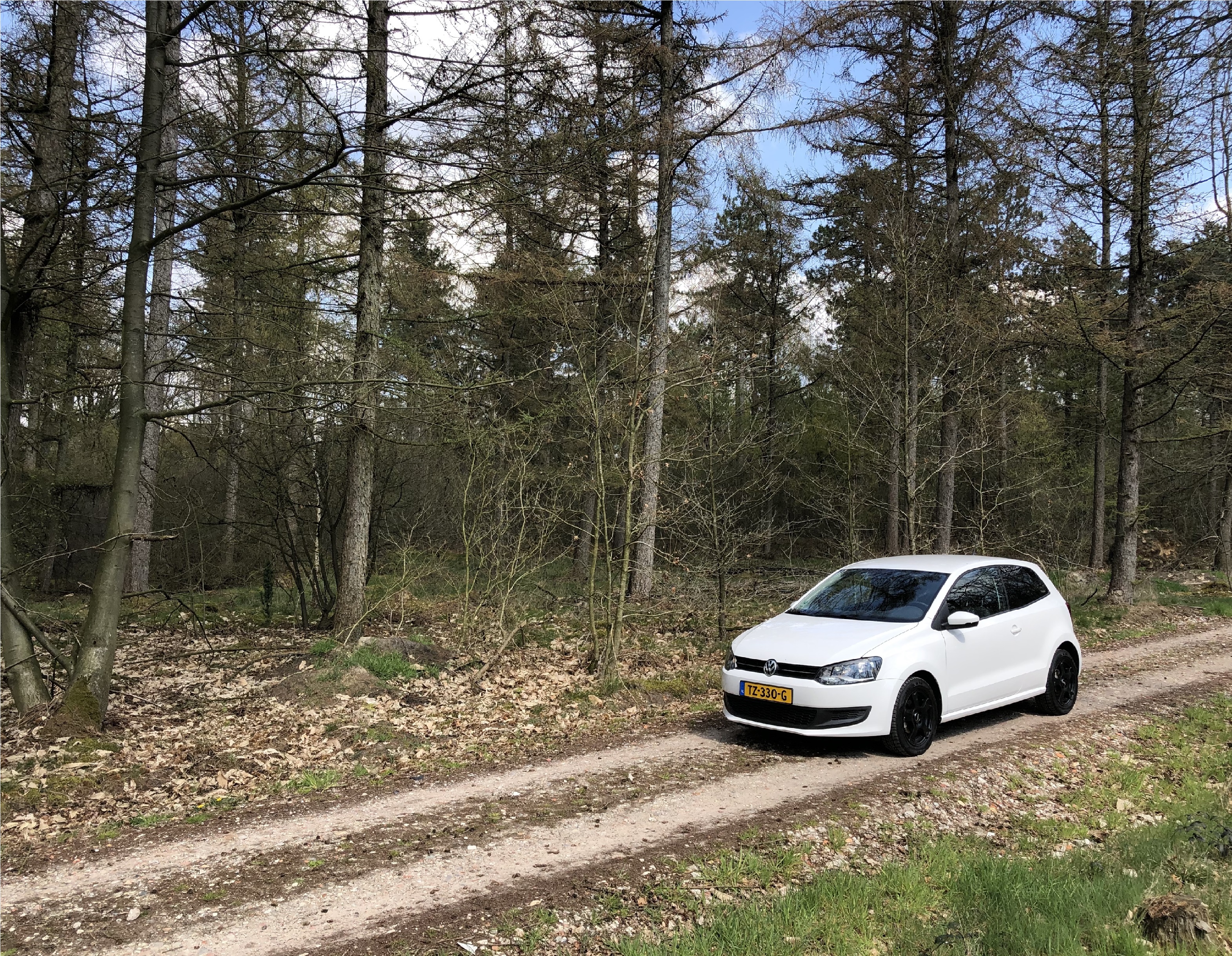 Polo 6R