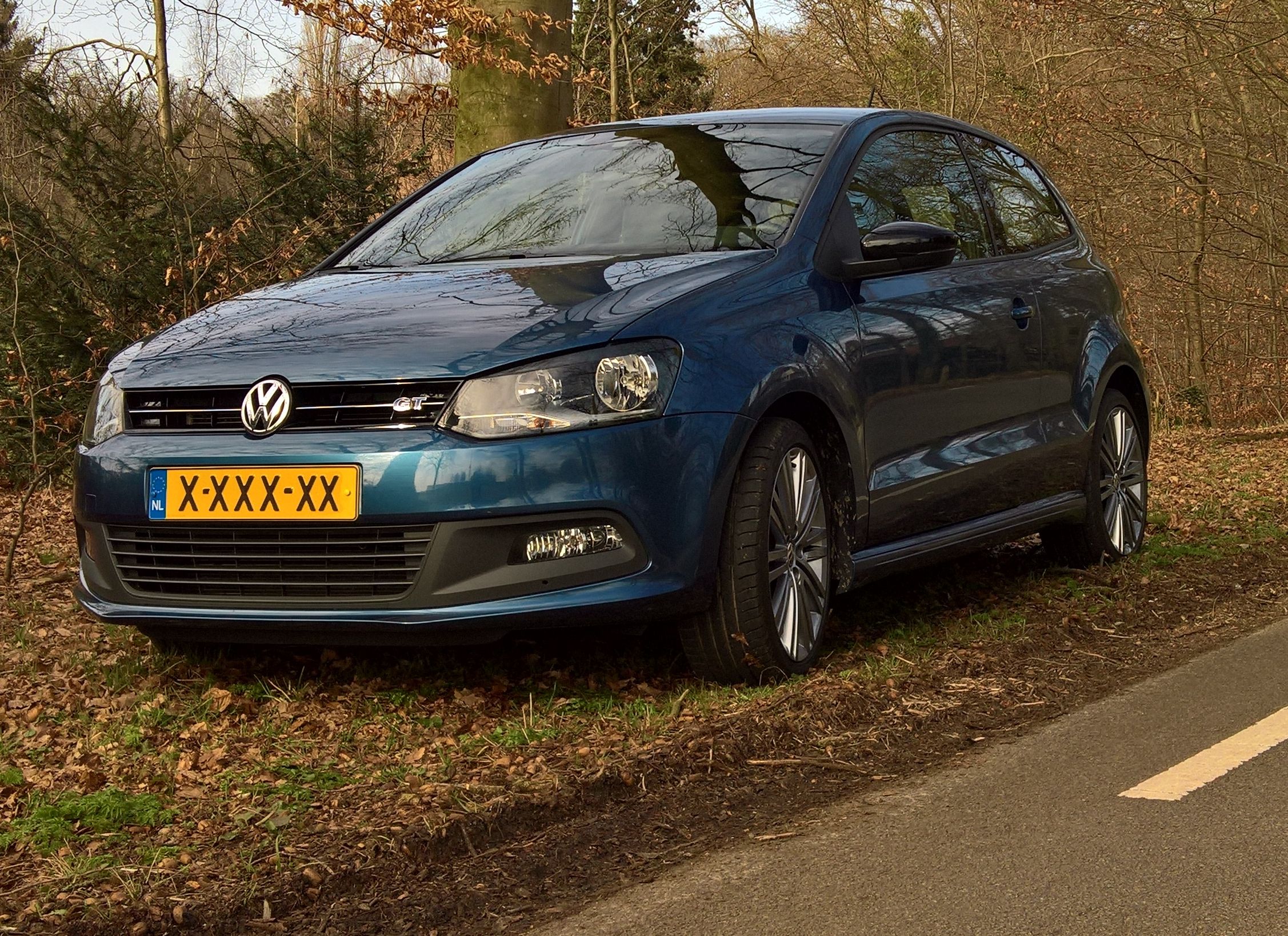 Polo Blue GT