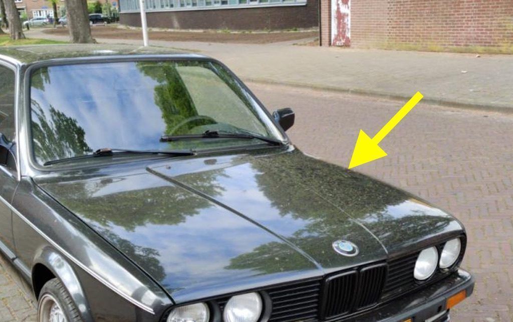 www.autoblog.nl